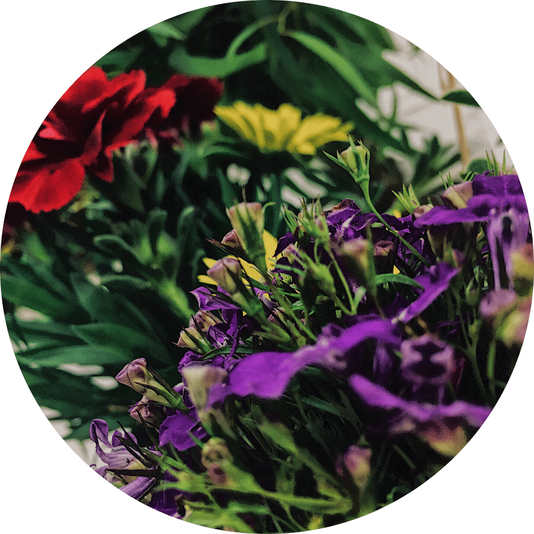 Blumenarrangement Altstadt. Detailbild.