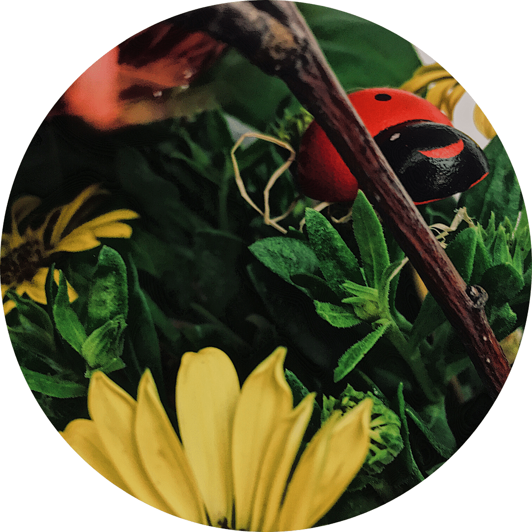 Blumenarrangement Klotzsche. Detailbild.