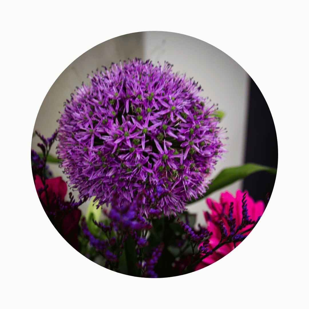 Blumenstrauß Maya Coschütz. Detailbild Allium.