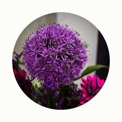 Blumenstrauß Maya Coschütz. Detailbild Allium.