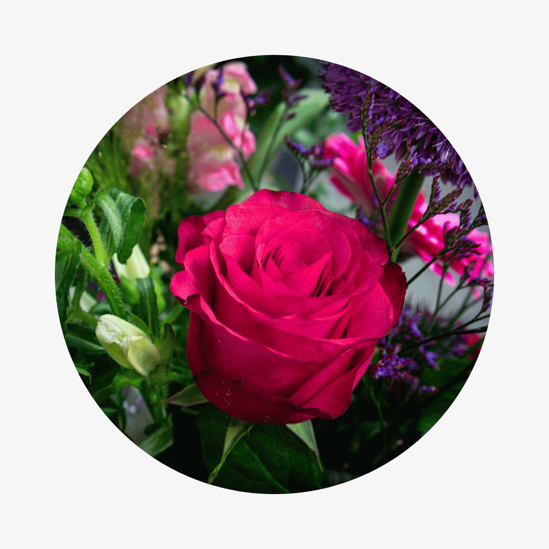 Blumenstrauß Maya Coschütz. Detailbild Ecuador Rose.