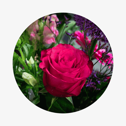 Blumenstrauß Maya Coschütz. Detailbild Ecuador Rose.