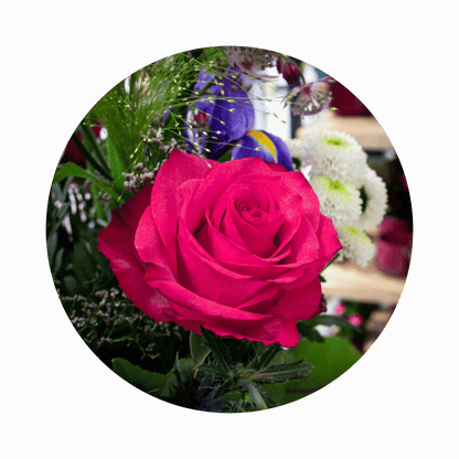 Blumenstrauß Elisabeth Cotta. Detailbild Ecuador-Rose.