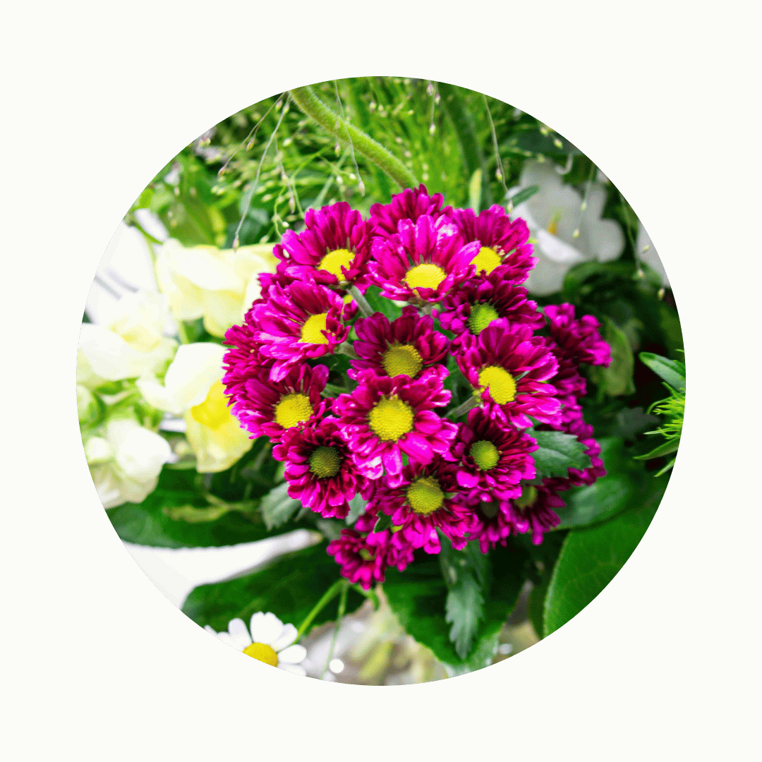 Blumenstrauß Sylvia Plauen. Detailbild Bartnelke.