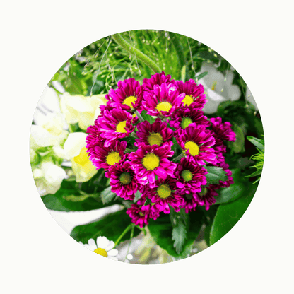 Blumenstrauß Sylvia Plauen. Detailbild Bartnelke.