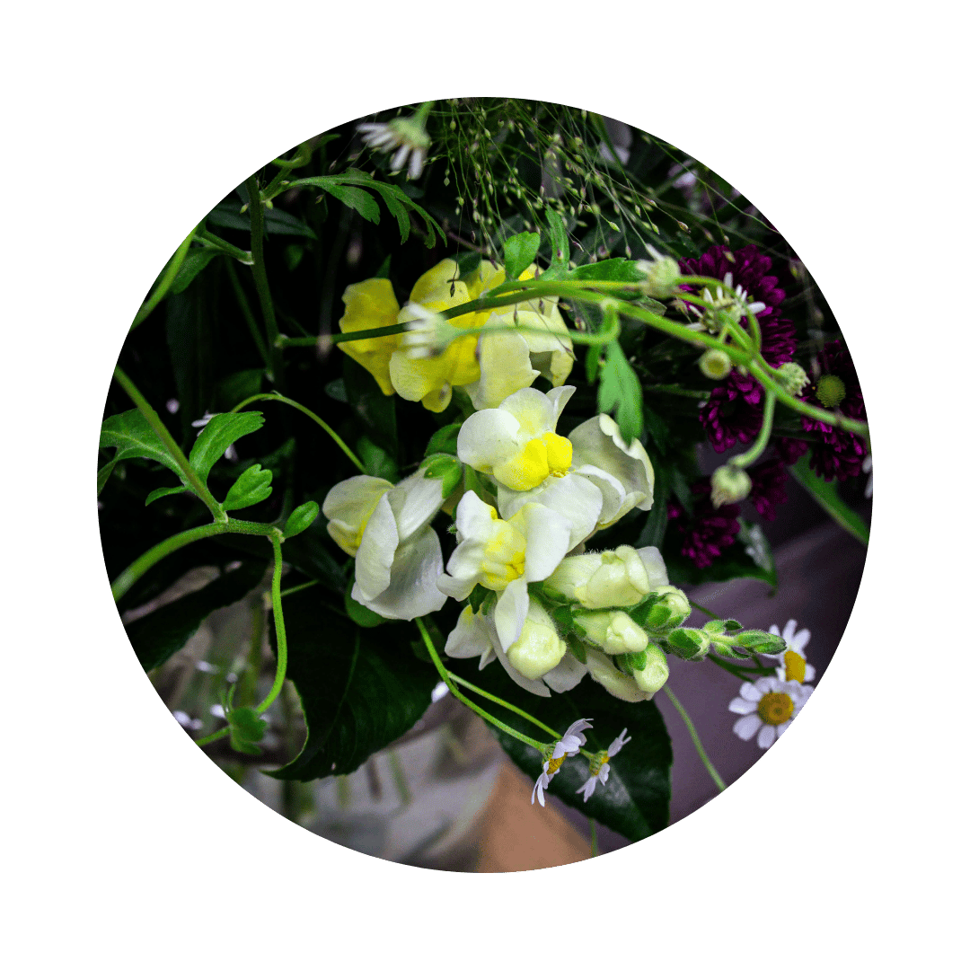 Blumenstrauß Sylvia Plauen. Detailbild Löwenmaul.