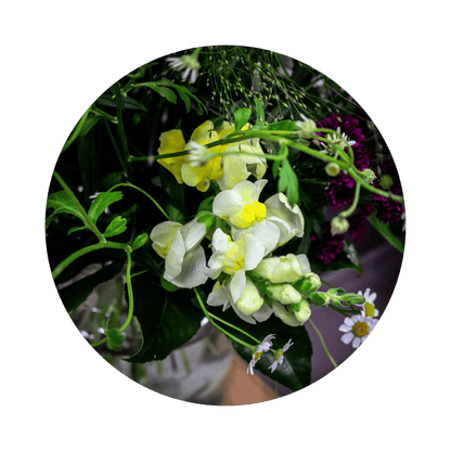 Blumenstrauß Sylvia Plauen. Detailbild Löwenmaul.