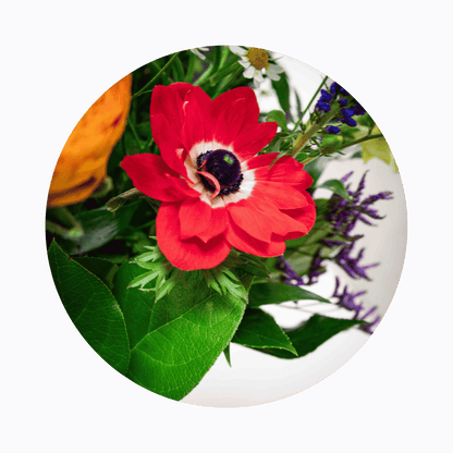 Blumenstrauß Sylvia Plauen. Detailbild Anemone.