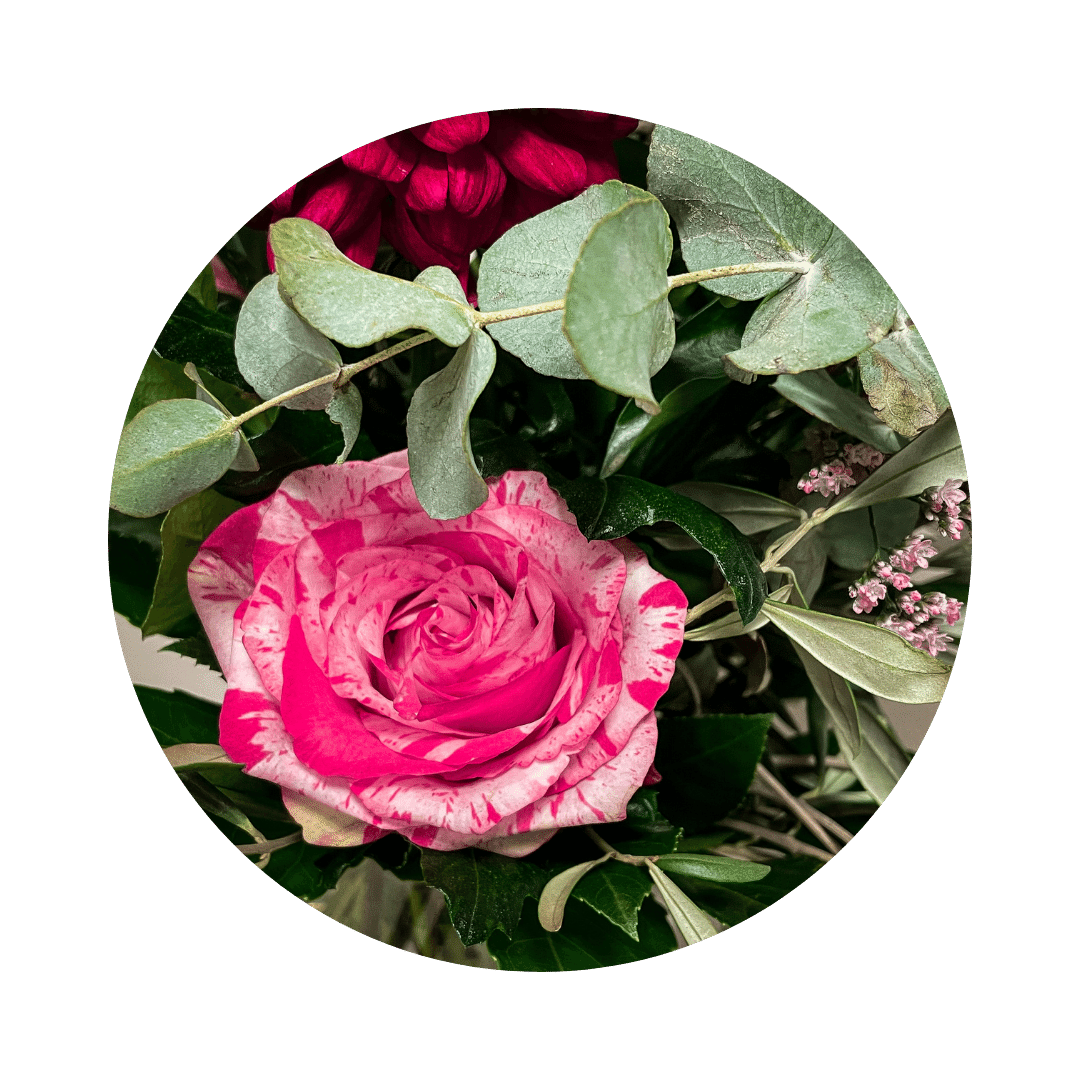 Detailfoto Rose pink gesprengelt