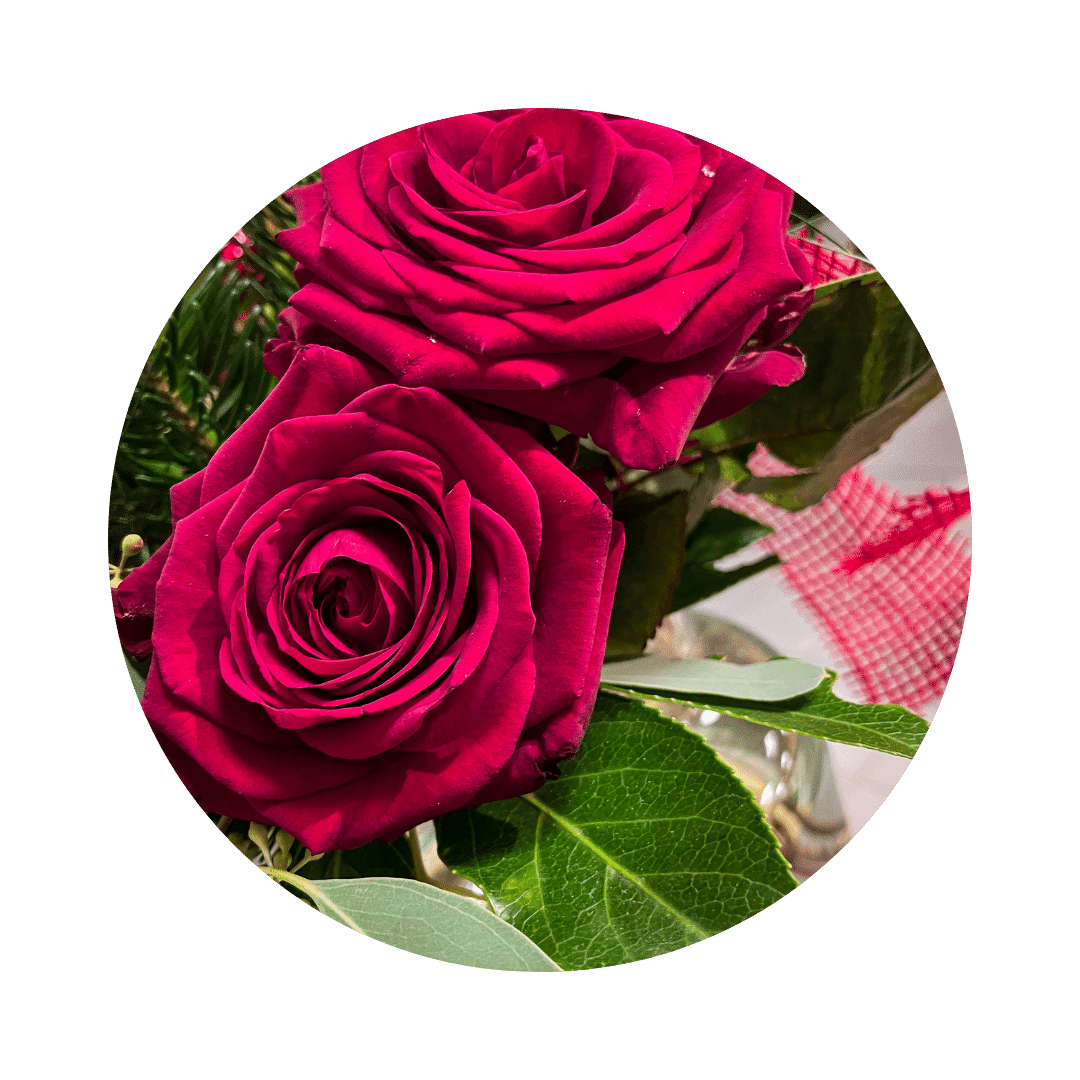 Detailfoto Rose rot