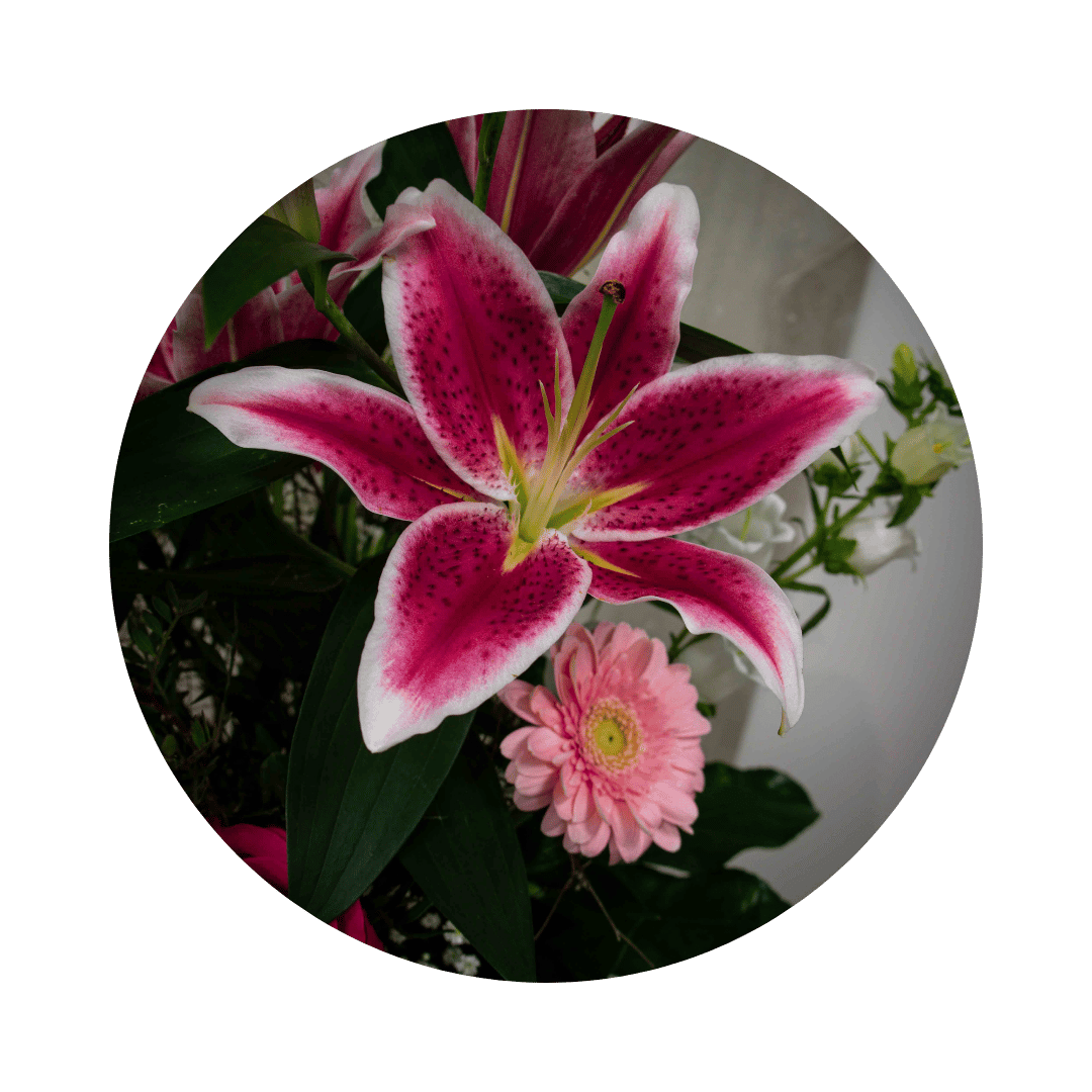 Blumenstrauß Franzi Zschiedge. Detailbild Lilie.
