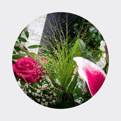 Blumenstrauß Franzi Zschiedge. Detailbild Panicum.
