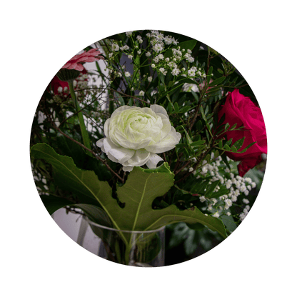 Blumenstrauß Franzi Zschiedge. Detailbild Ranunkel.