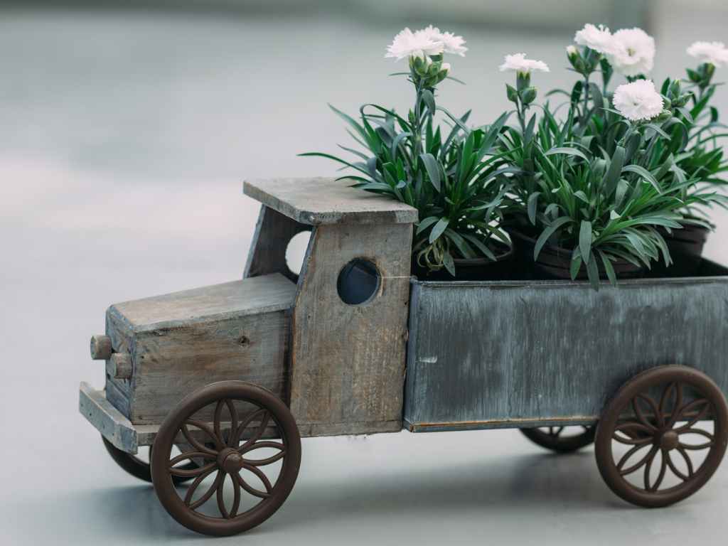 Kleines Modell-Holzfahrzeug mit 3 kleinen Nelken-Blumentöpfen auf der Ladefläche.