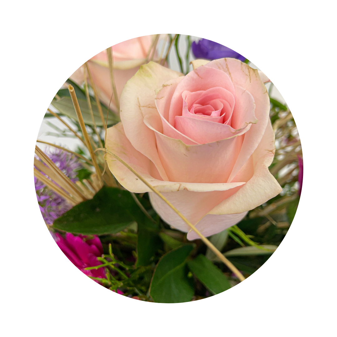 Blumenstrauß Sylvia Plauen. Detailbild.