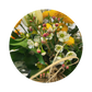 Blumenstrauß Sina Weißeritz. Detailbild.