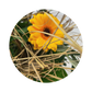 Blumenstrauß Sina Weißeritz. Detailbild.